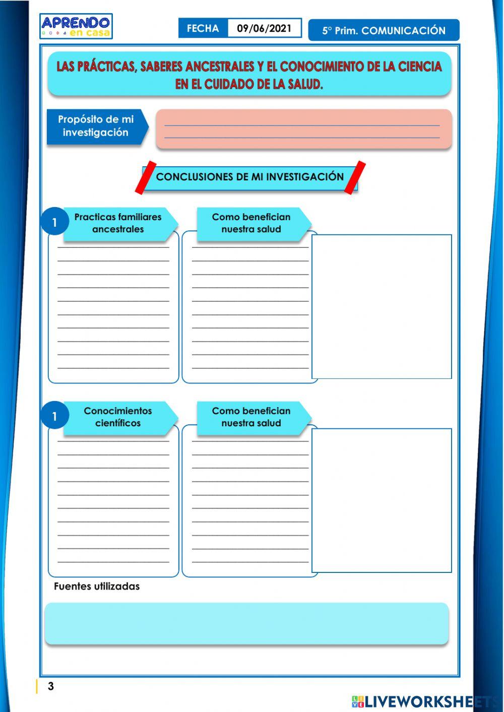 Planificamos y elaboramos el informe con las conclusiones de nuestra investigación.