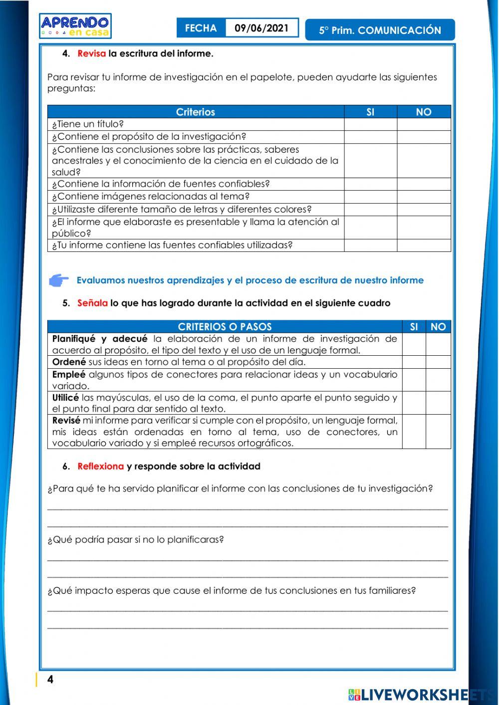 Planificamos y elaboramos el informe con las conclusiones de nuestra investigación.