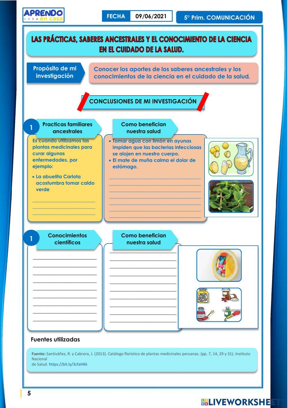 Planificamos y elaboramos el informe con las conclusiones de nuestra investigación.