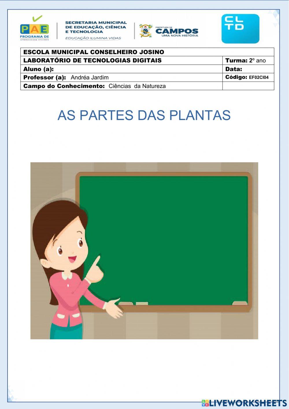 As partes das plantas