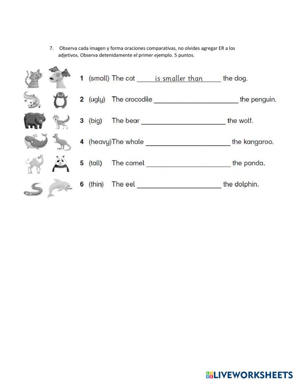 English test second t