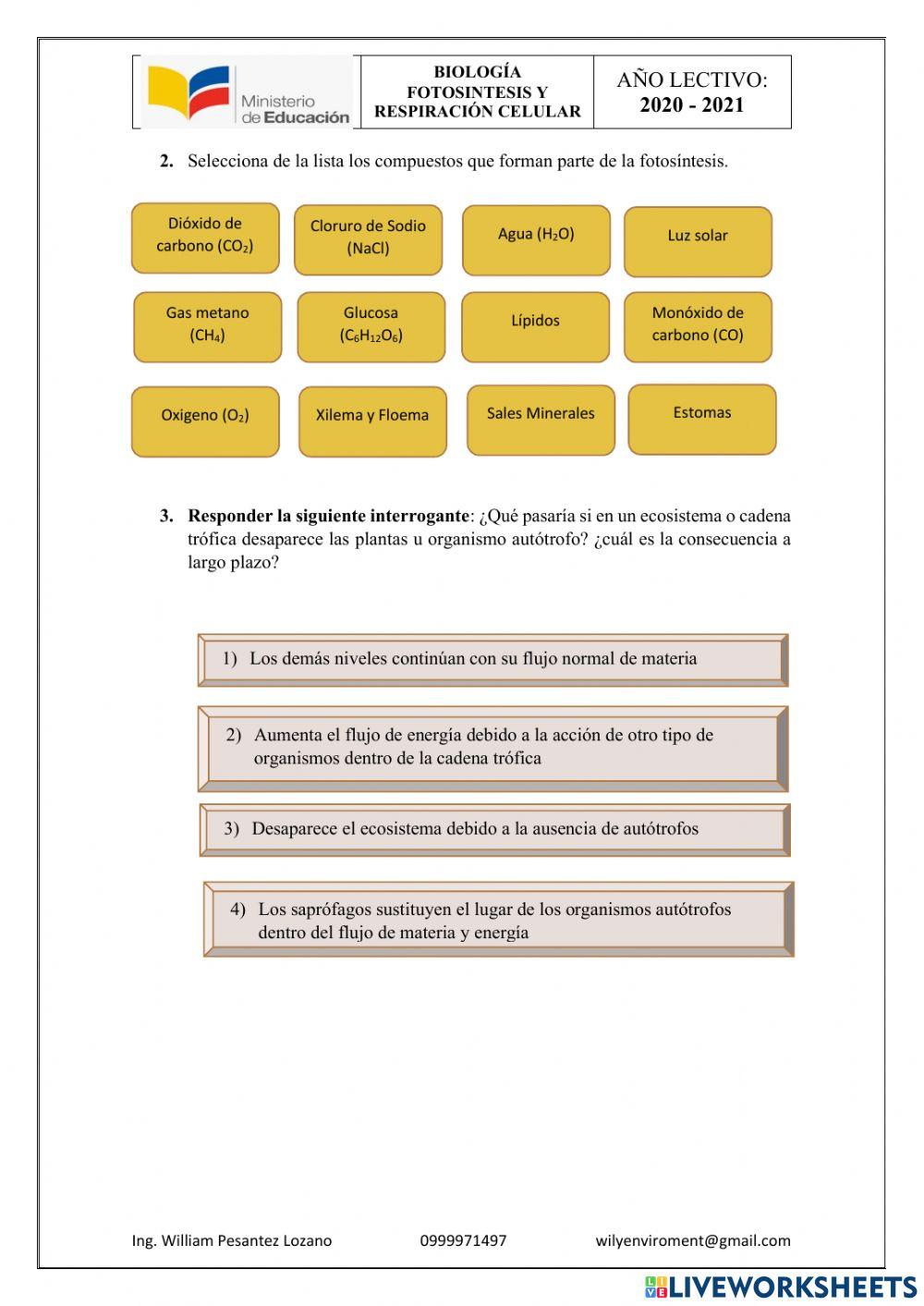 Fotosíntesis y respiración celular