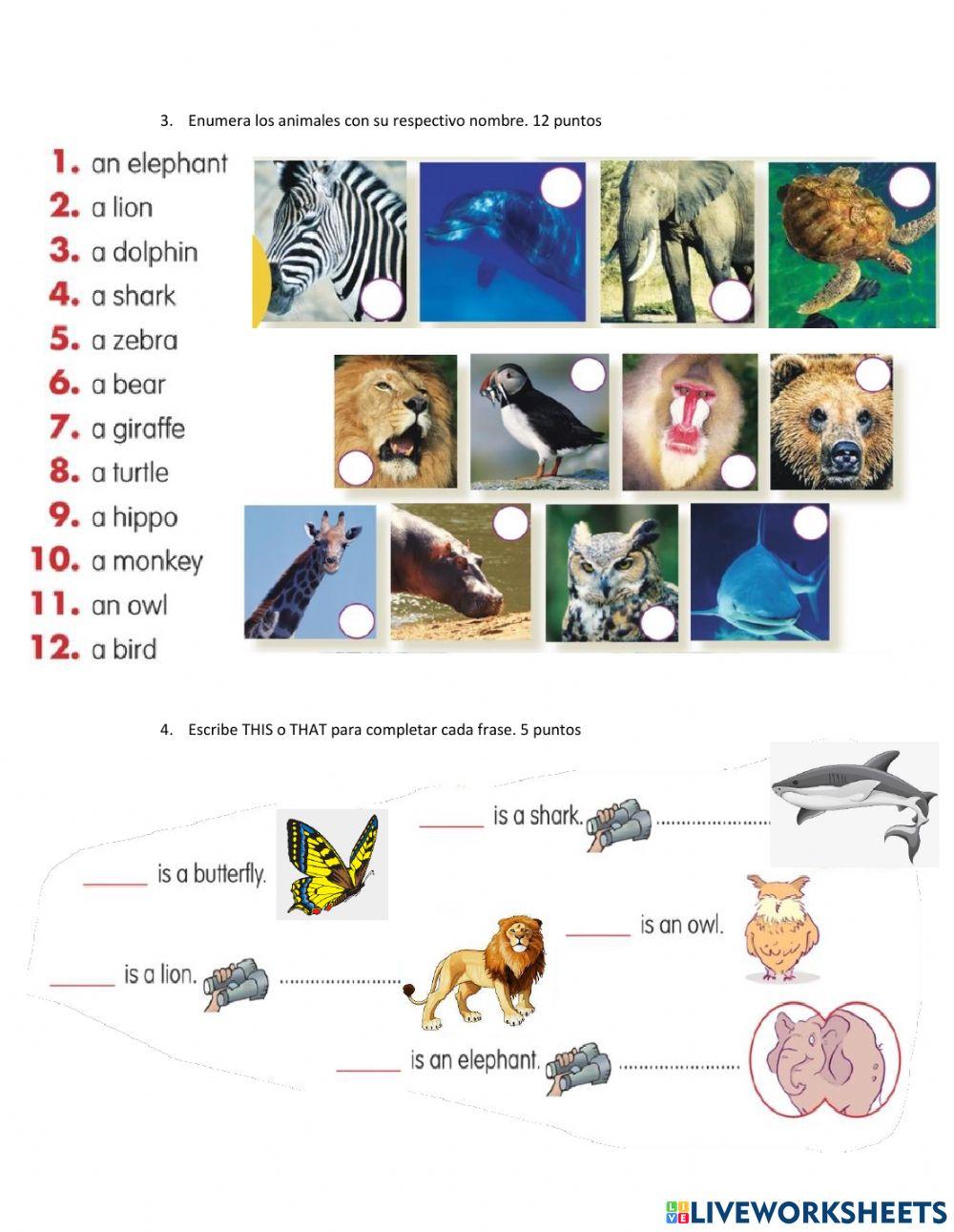 English test second t
