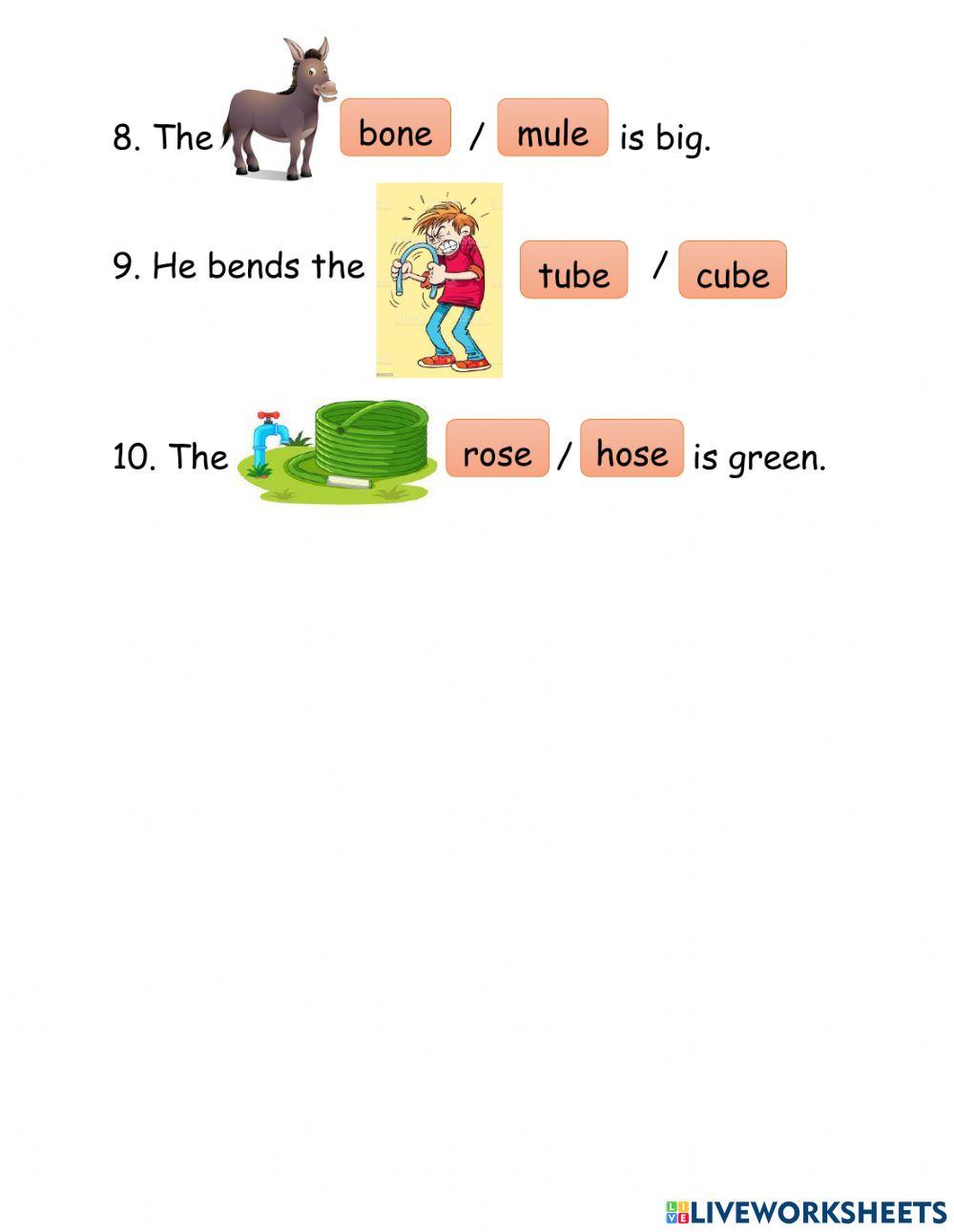 1071524 Phonics o e and u e Siti Ianah