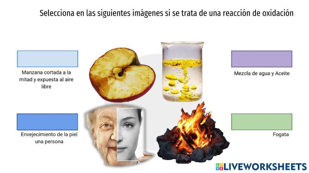 Importancia de las reacciones de óxido y de reducción