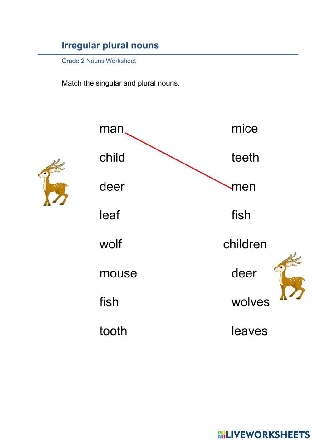 Irregular plural nouns