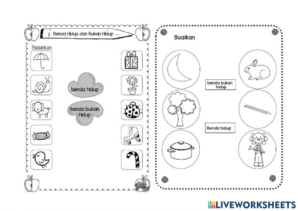 Benda hidup dan bukan benda hidup