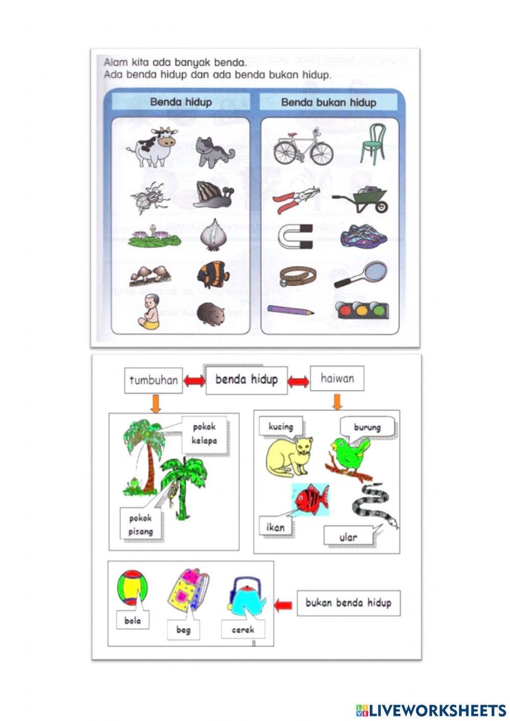 Benda hidup dan bukan benda hidup