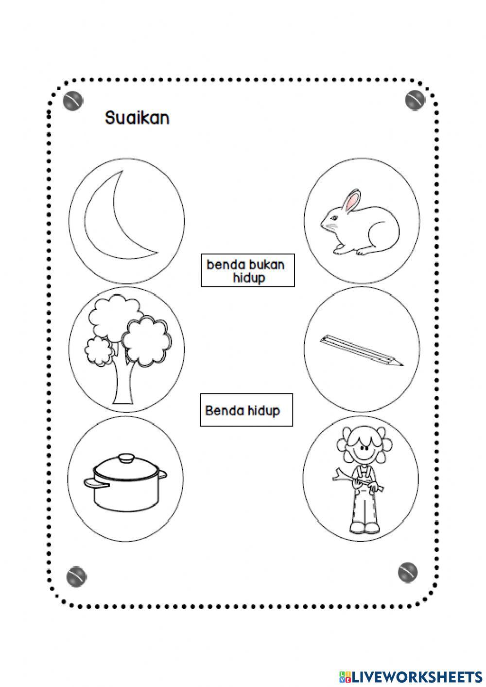 Benda hidup dan bukan benda hidup