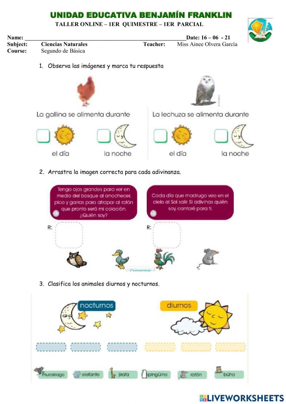 Ciclo diario de los animales