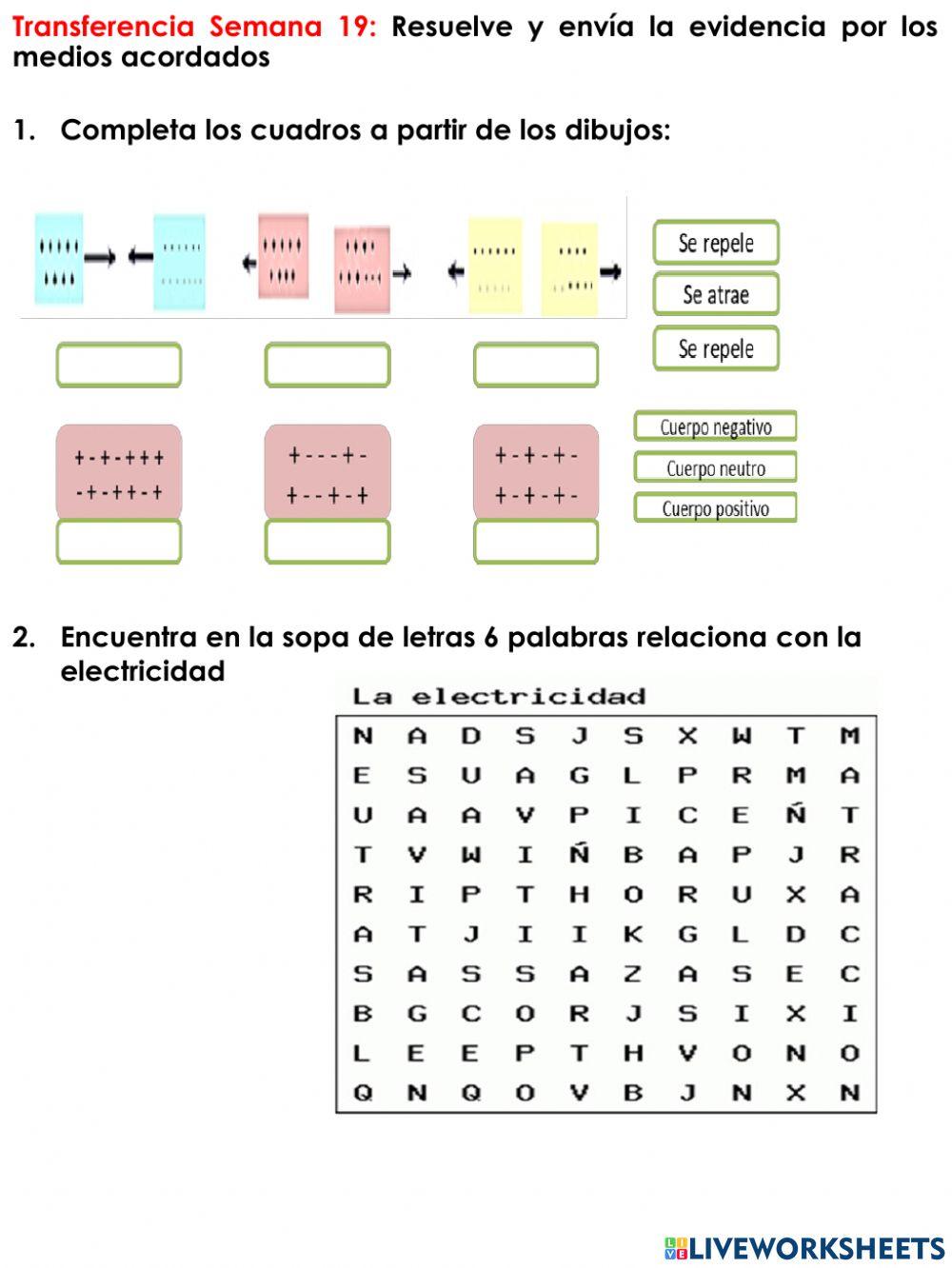 C.N-Transferencia Semana 19