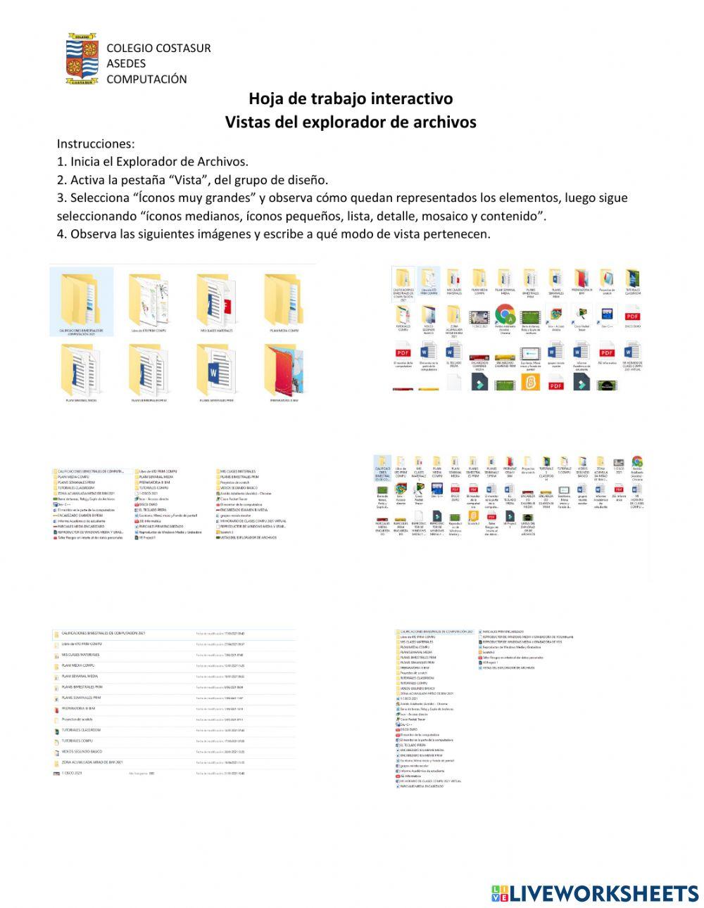 Vistas del Explorador de Archivos