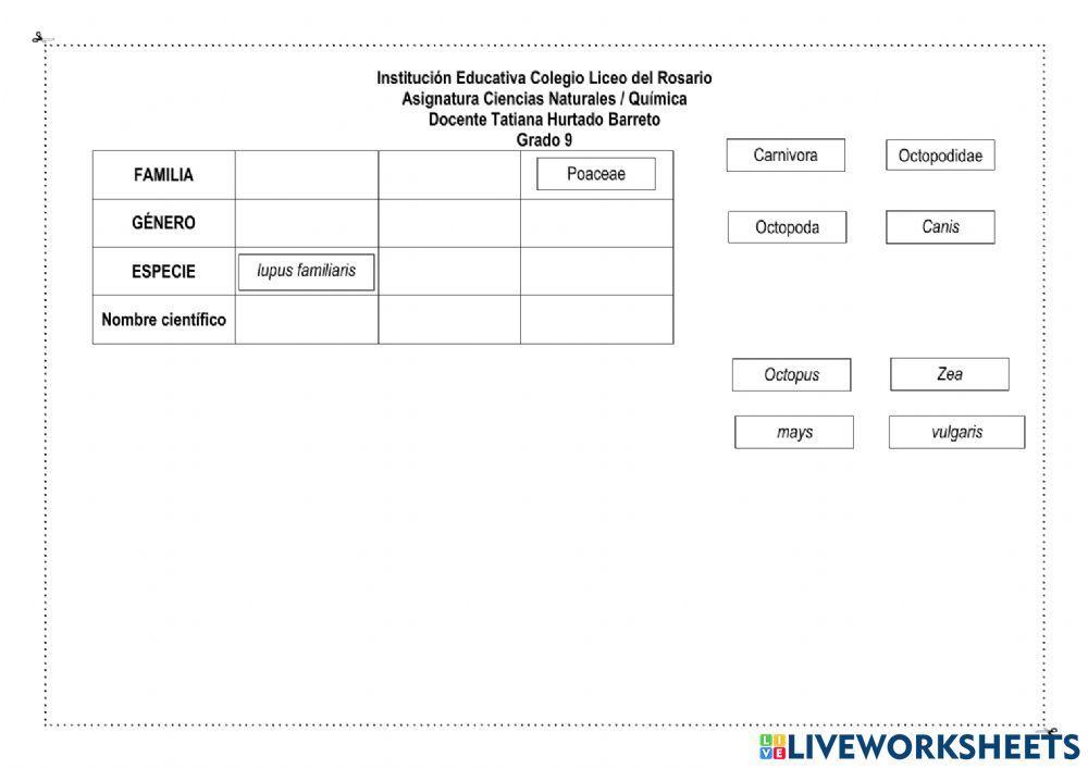 Clasificación taxonómica
