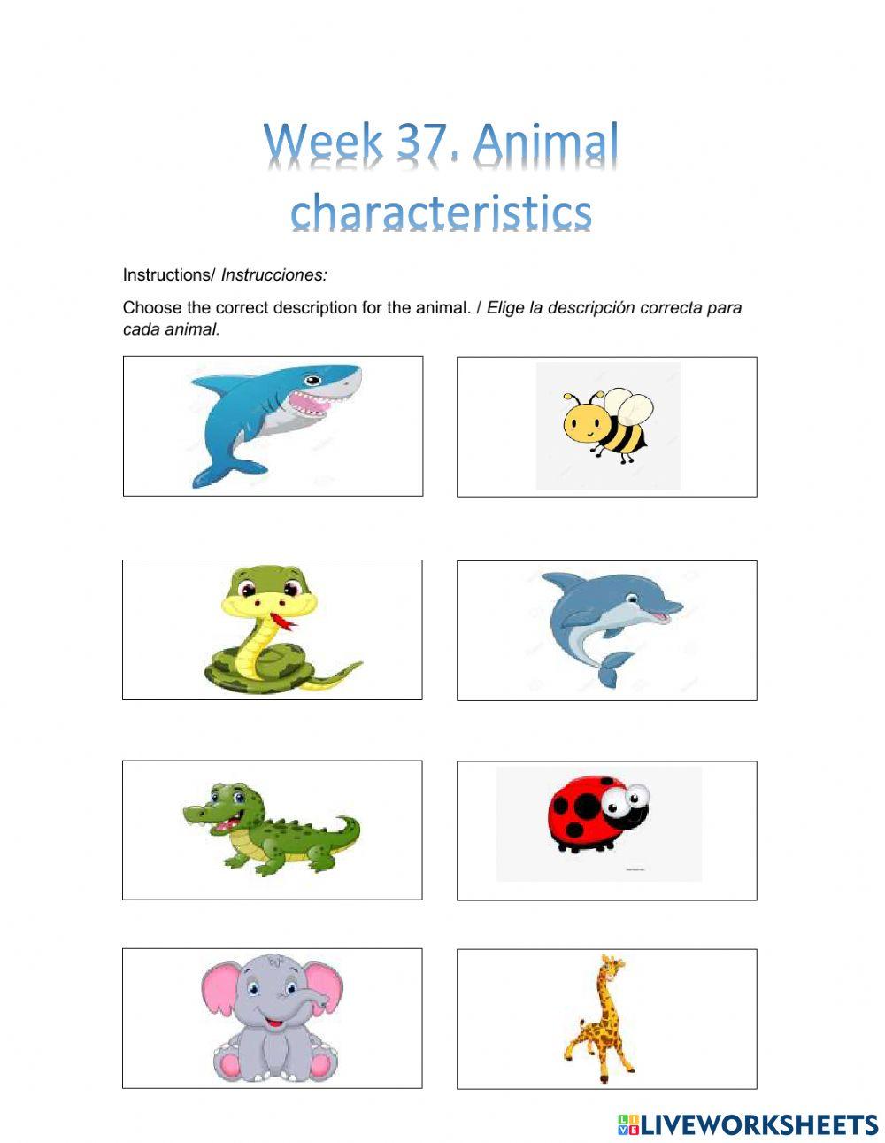 Animal characteristics interactive worksheet | Live Worksheets
