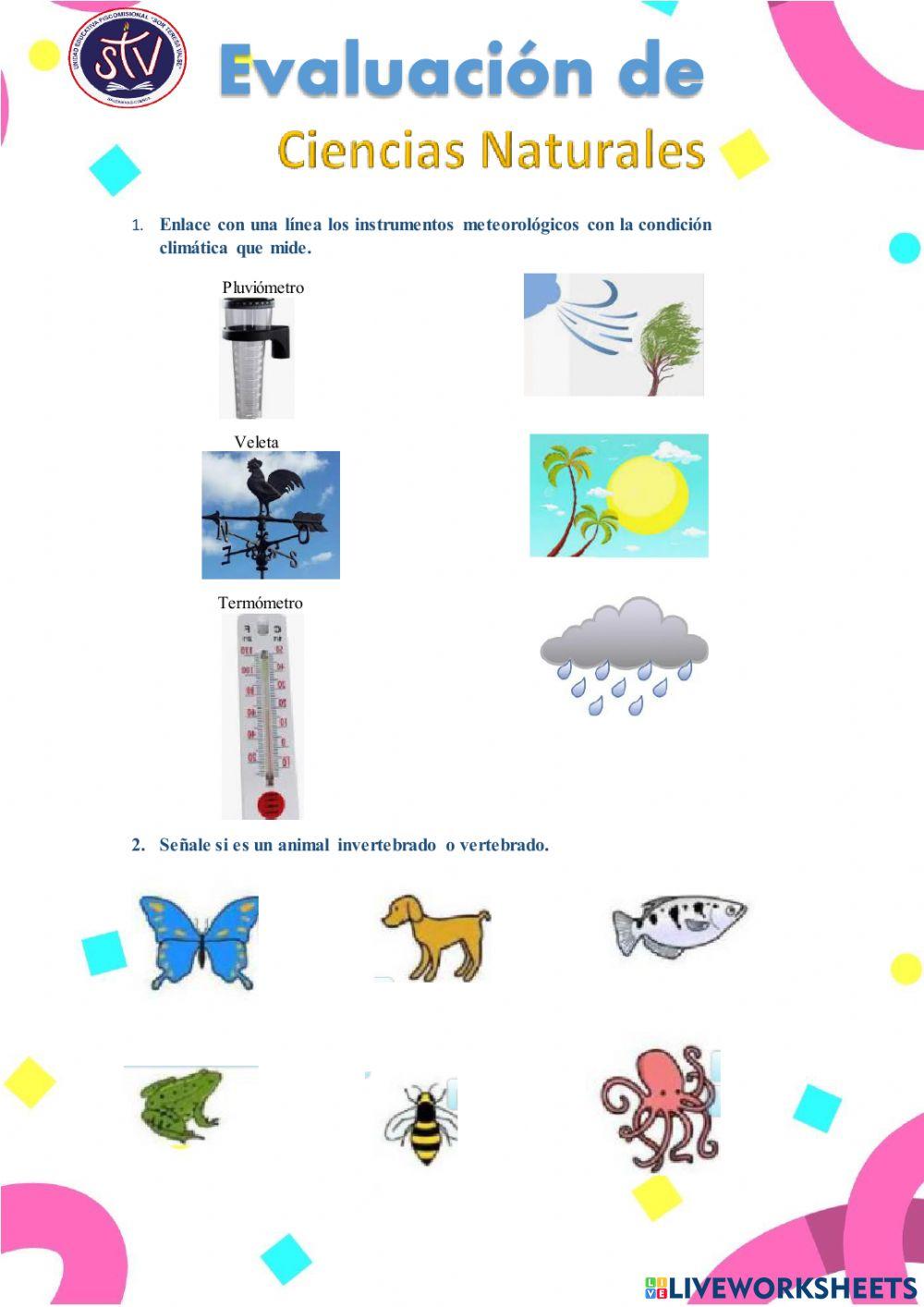 Mezclas, Plantas, materia