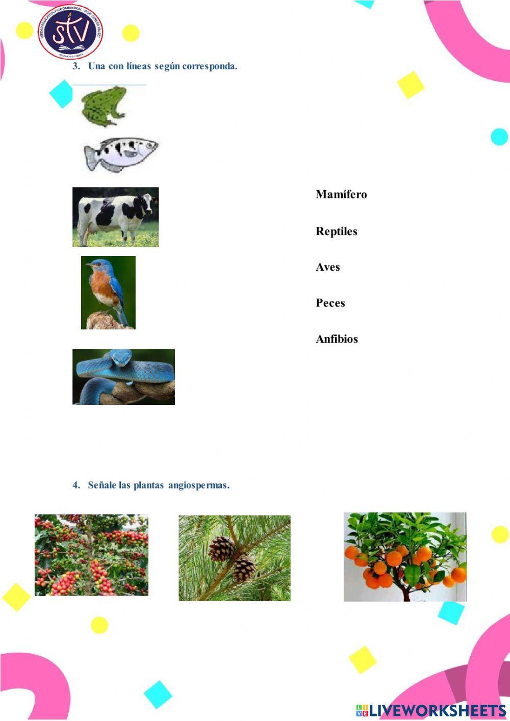 Mezclas, Plantas, materia