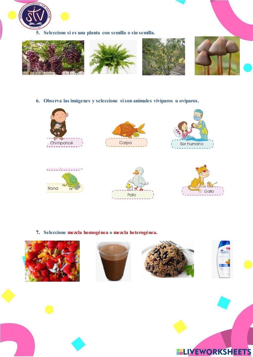 Mezclas, Plantas, materia