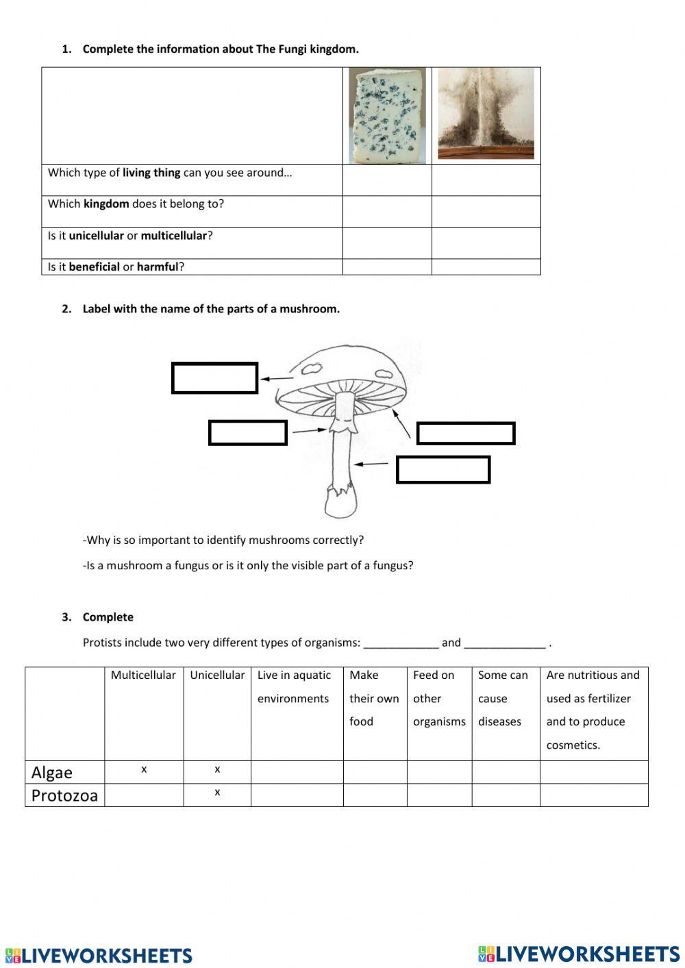 fungi, monera a… | Free Interactive Worksheets | 6627971