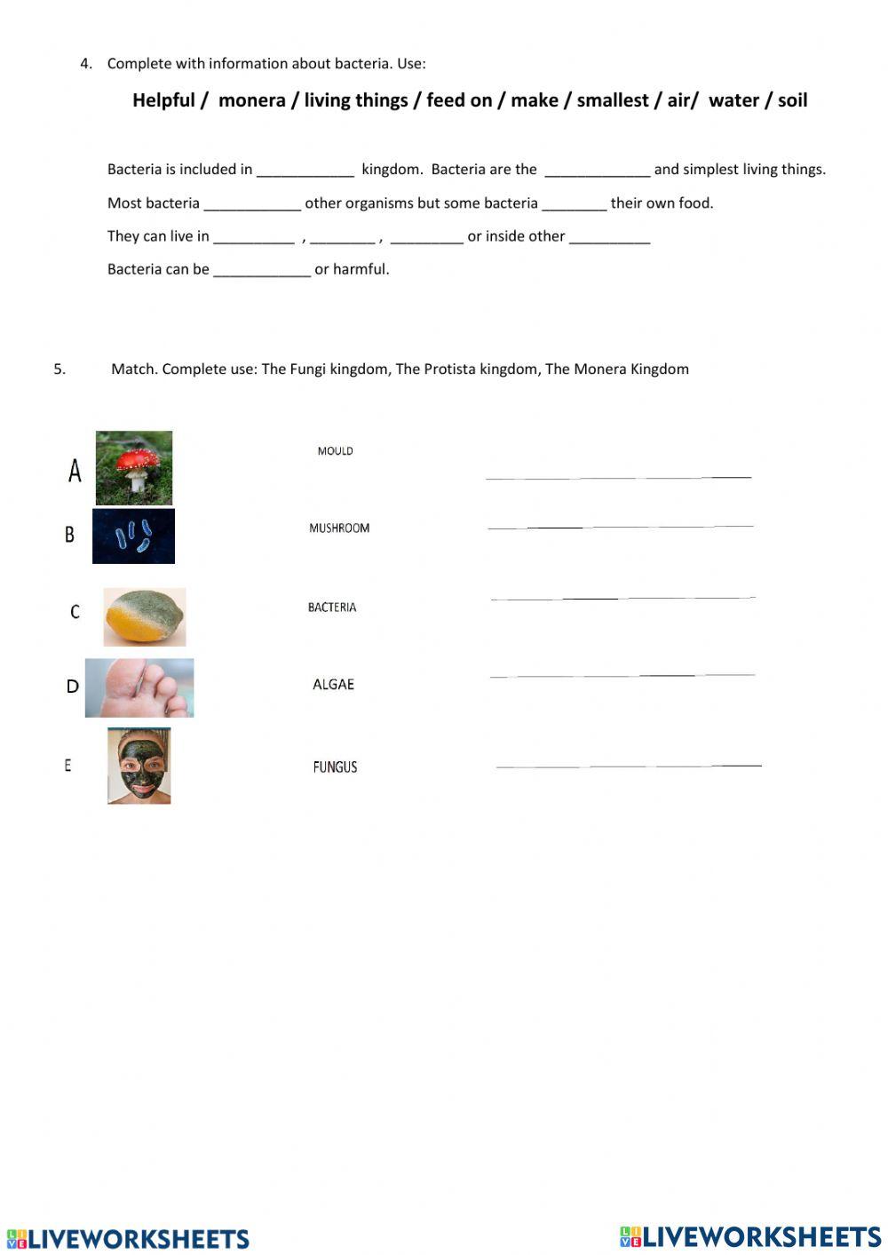 fungi, monera a… | Free Interactive Worksheets | 6627971