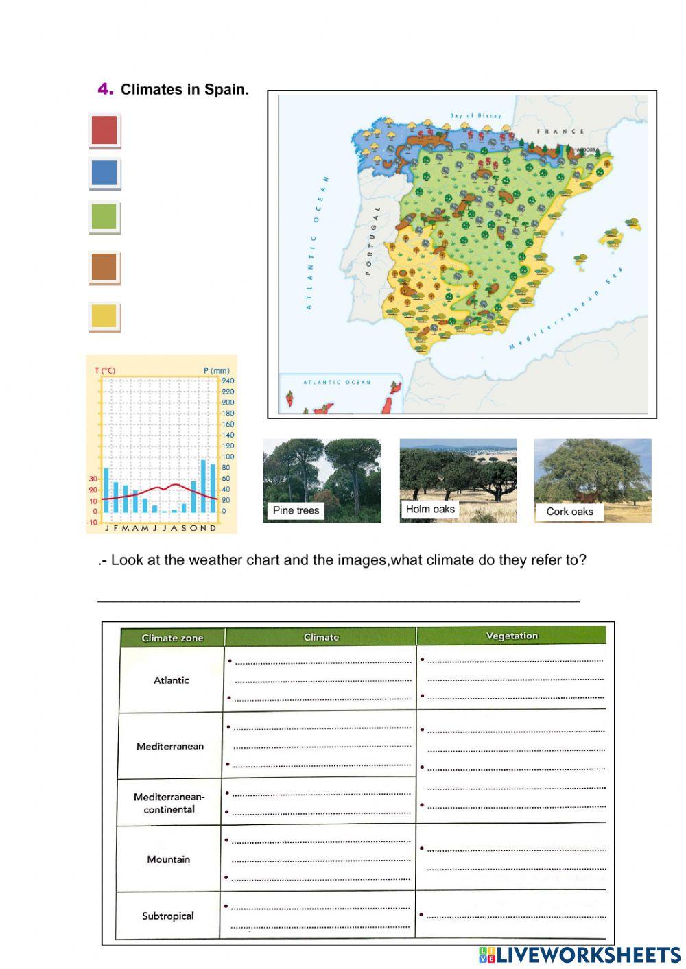 Unit 3 Test. Weather and climate.