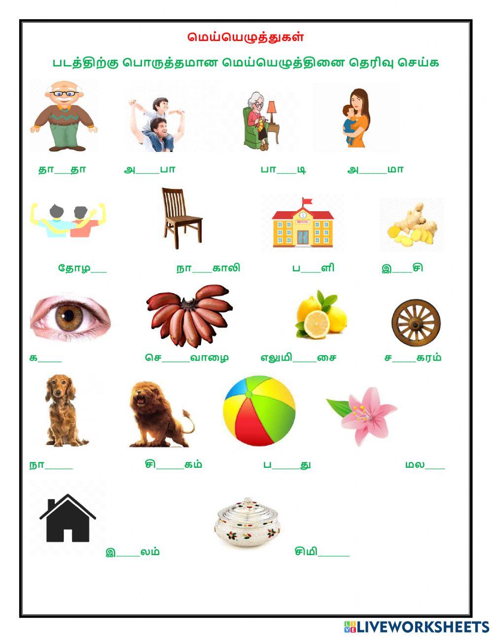 தமிழ் மெய்யெழுத்துகள்