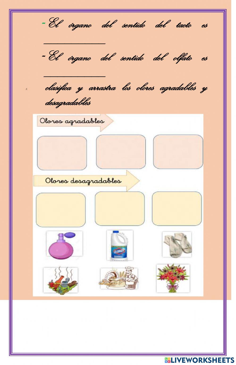 Refuerzo semestral de ciencias 1°