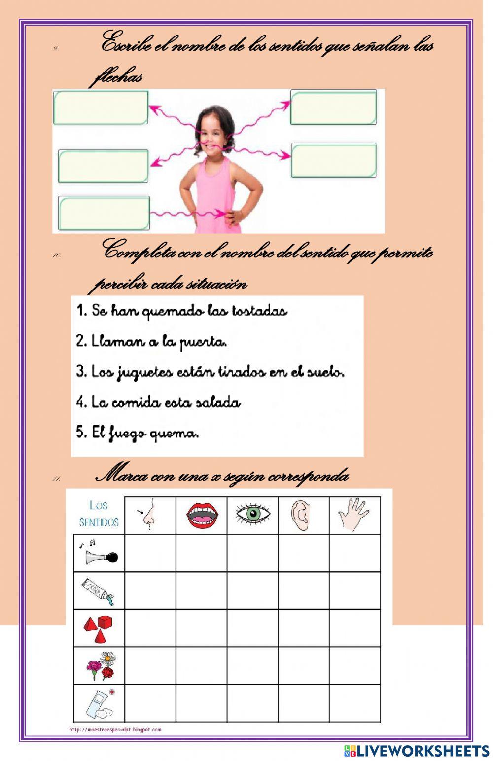 Refuerzo semestral de ciencias 1°