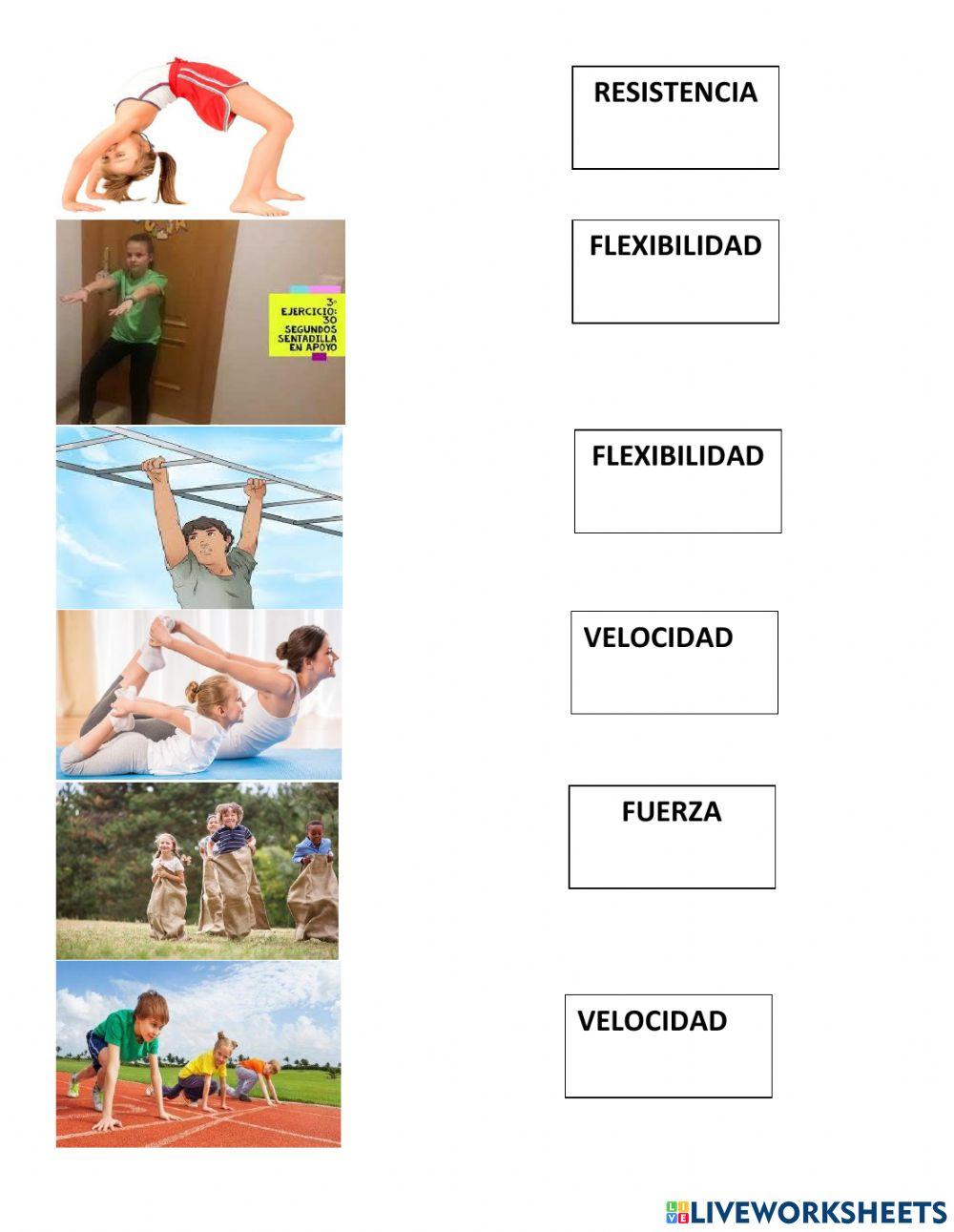 Capacidades físicas básicas