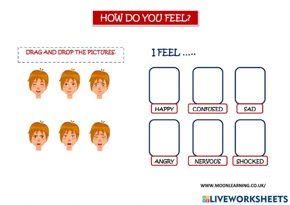 Feelings and emotions