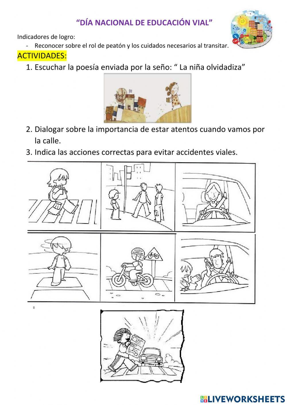 Dia Nacional de Educación Vial