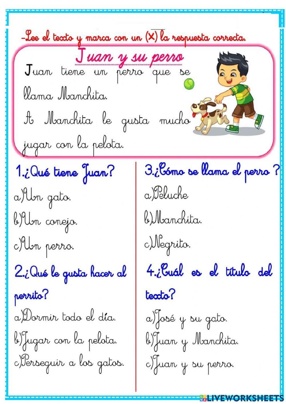 Comprensión lectora