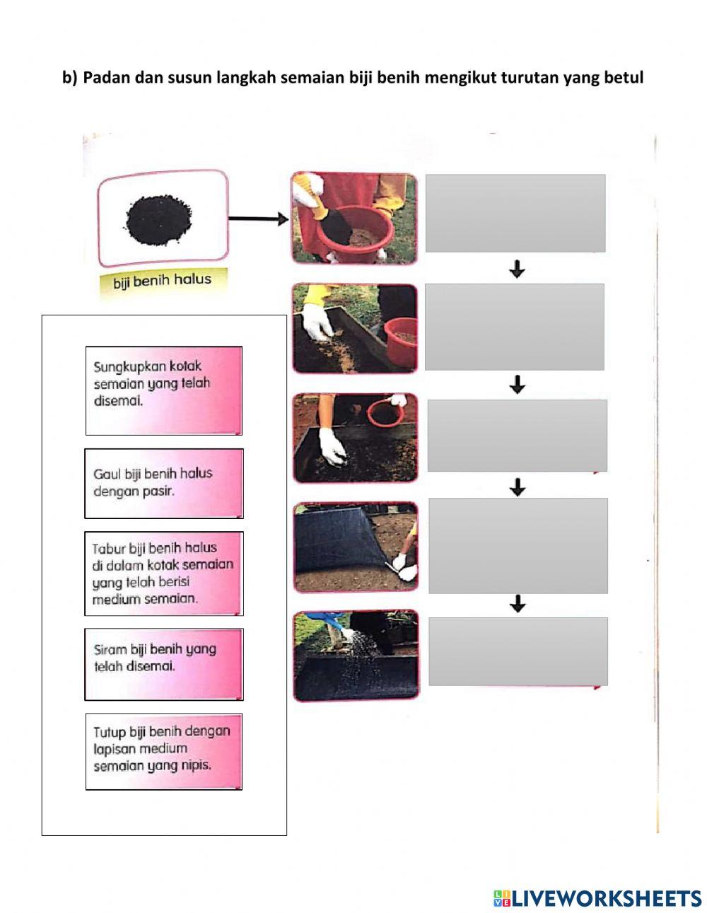 Kemahiran Hidup Perkebunan PPKI