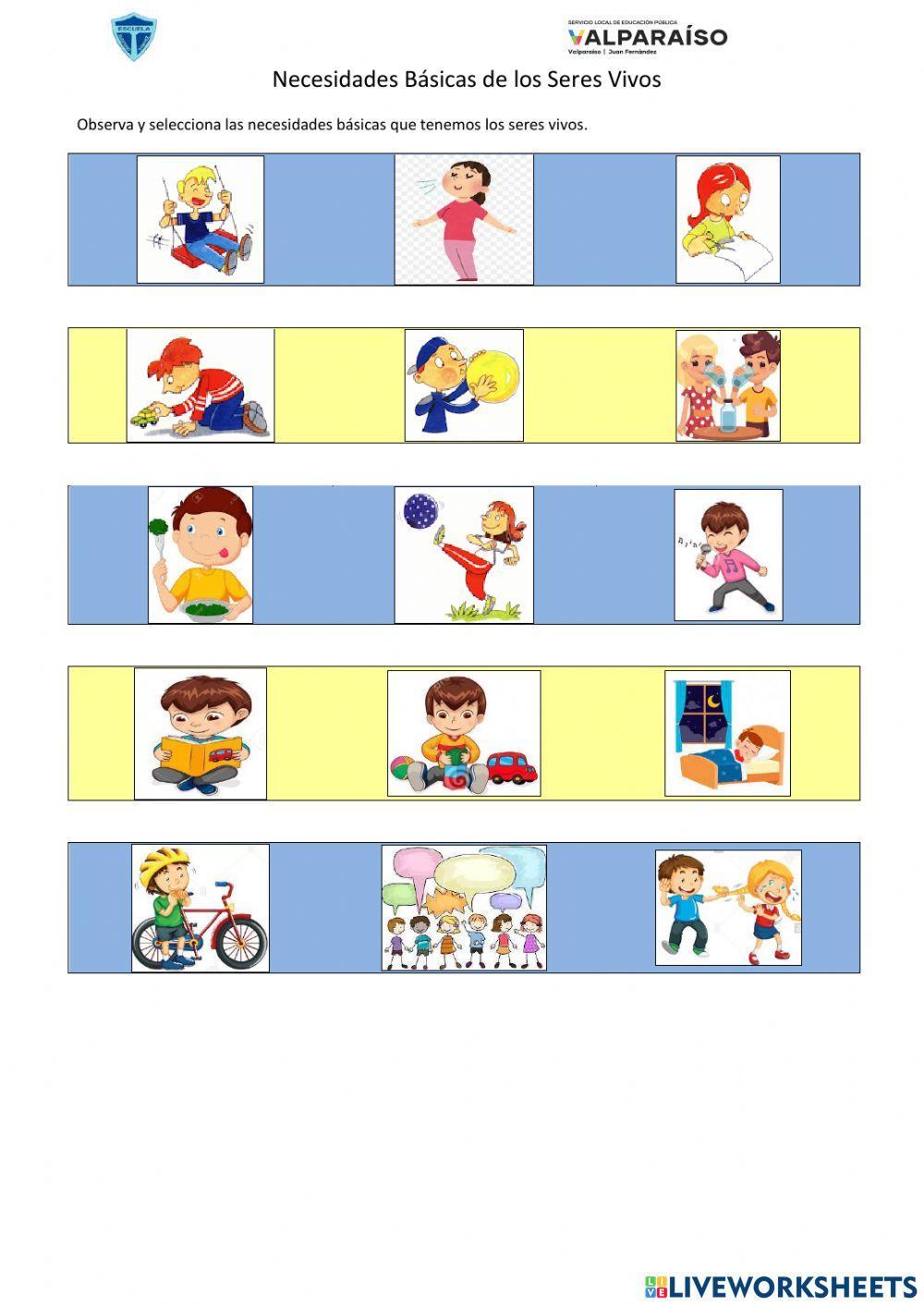 Necesidades Seres Vivos