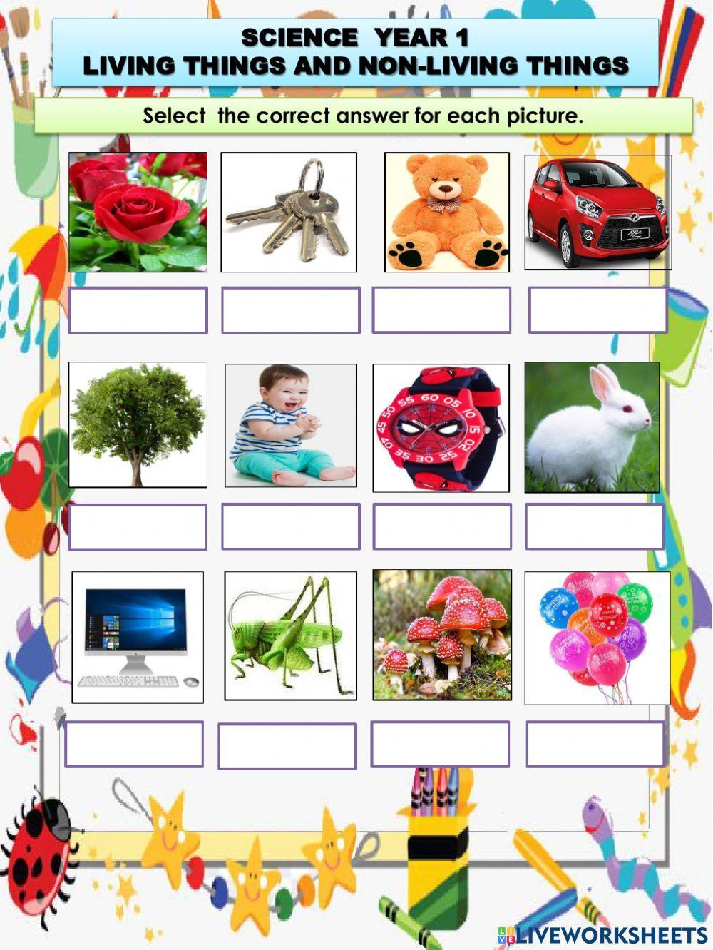 Living Things and Non-living Things