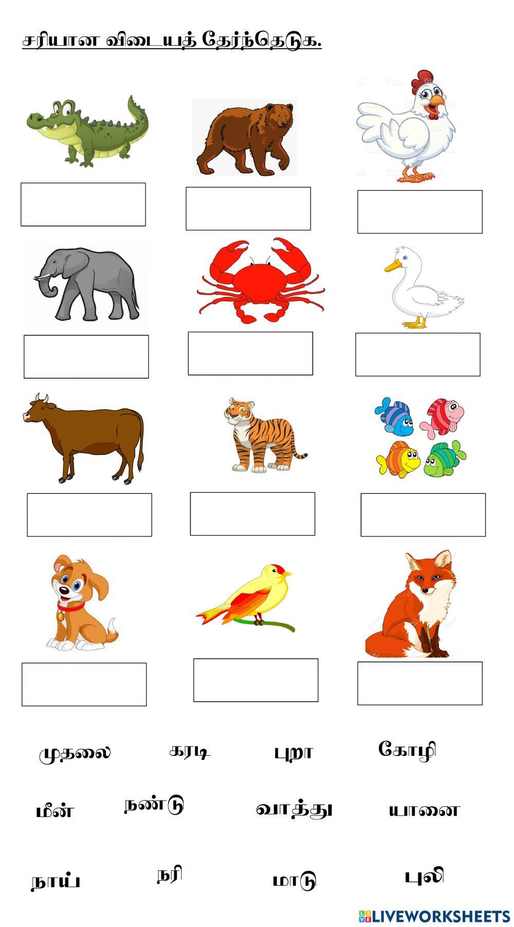 சரியான விடையைத் தேர்ந்தெடுக.