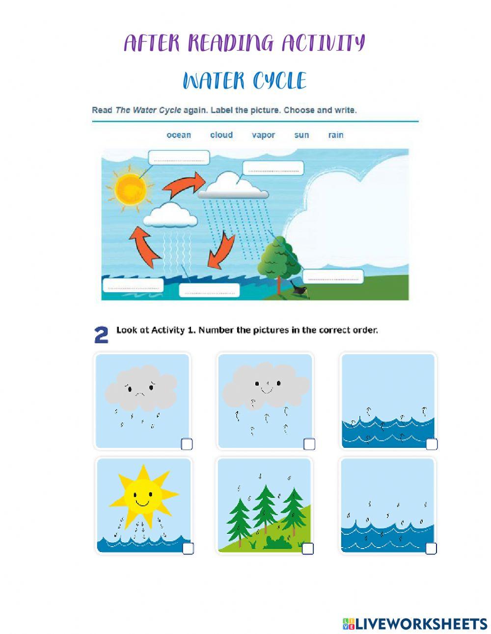 Water cycle elements