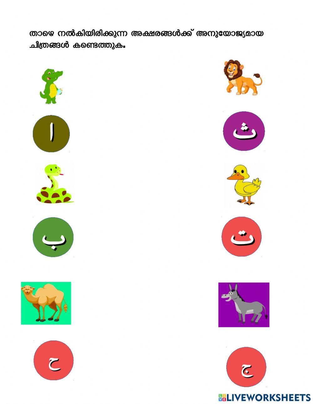 الحروف العربية