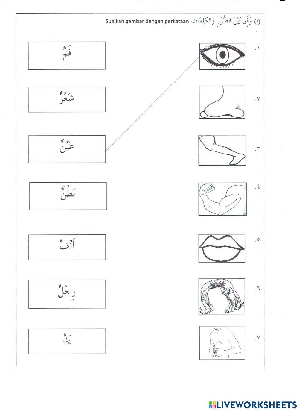 جسمي السليم