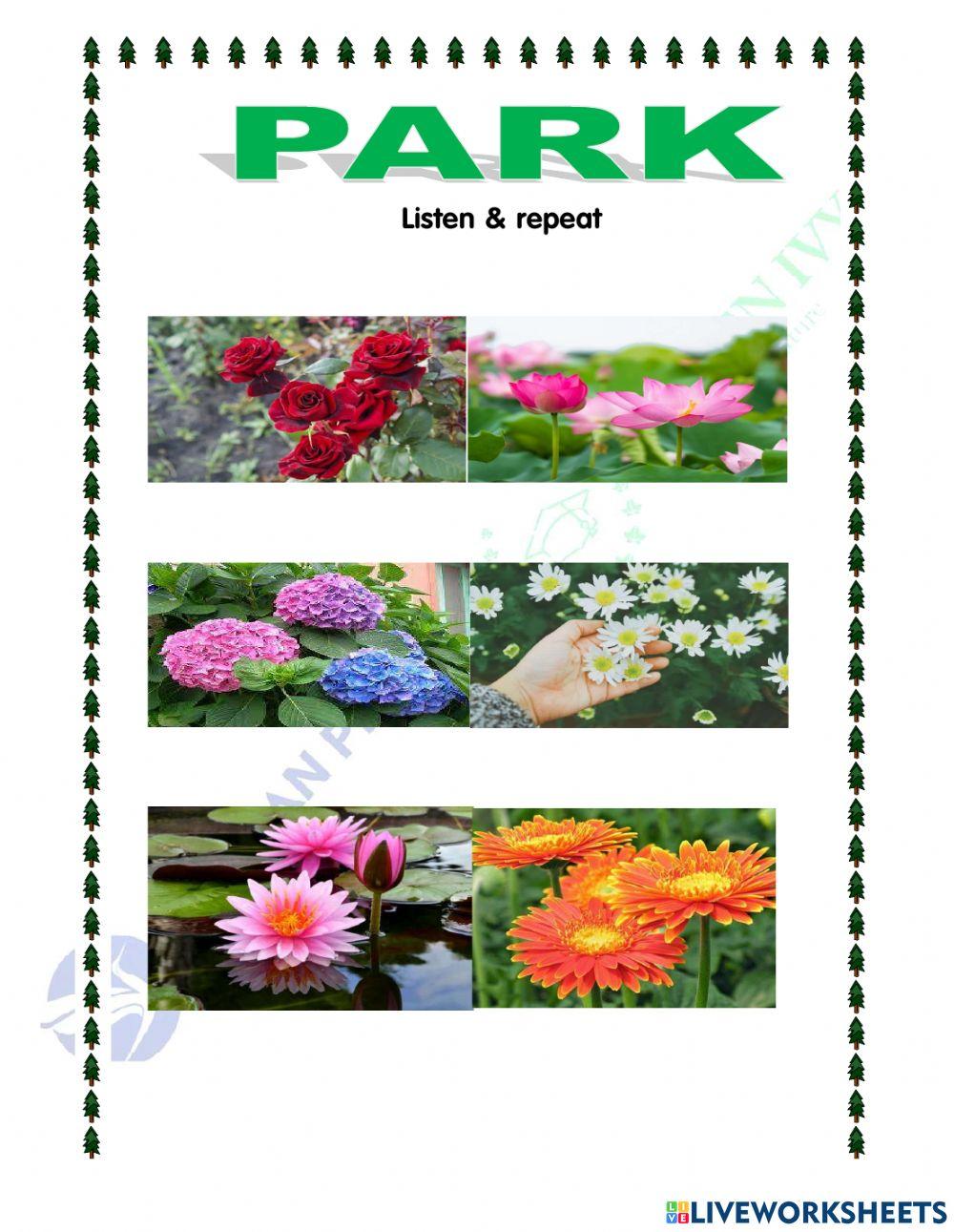 Park