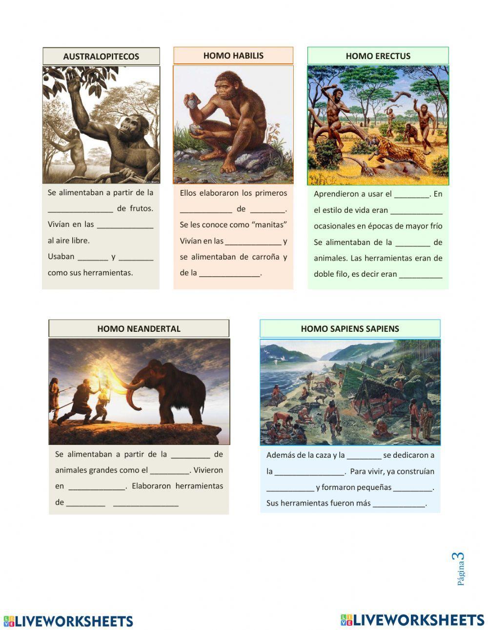 Evolución del hombre