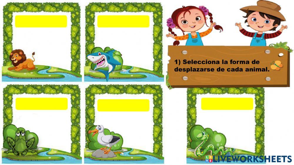 Los seres vivos, los animales