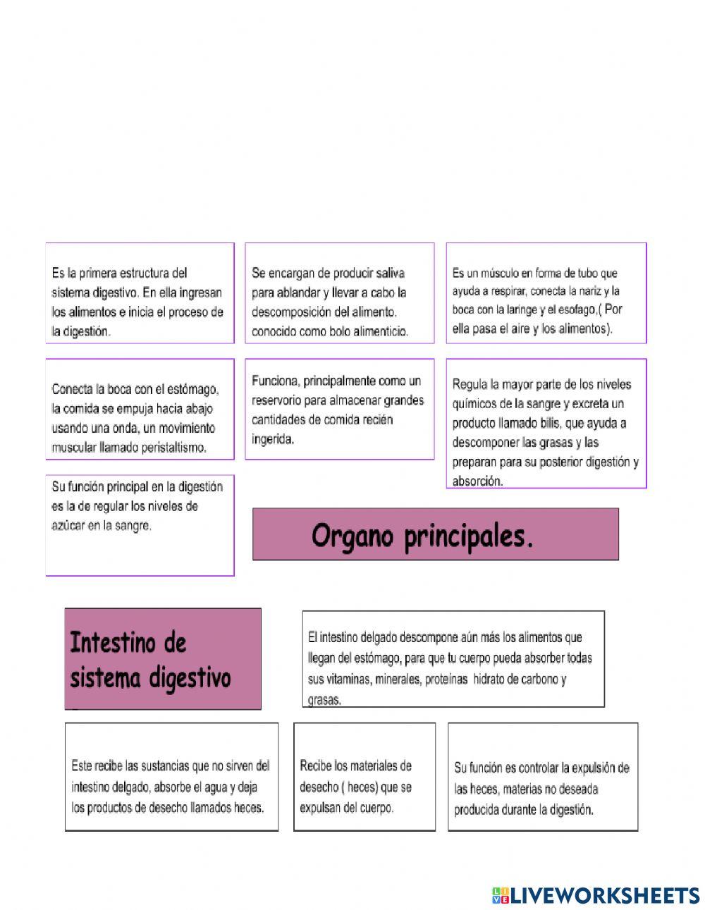 Ticket de salida Ciencia Ciclo-2