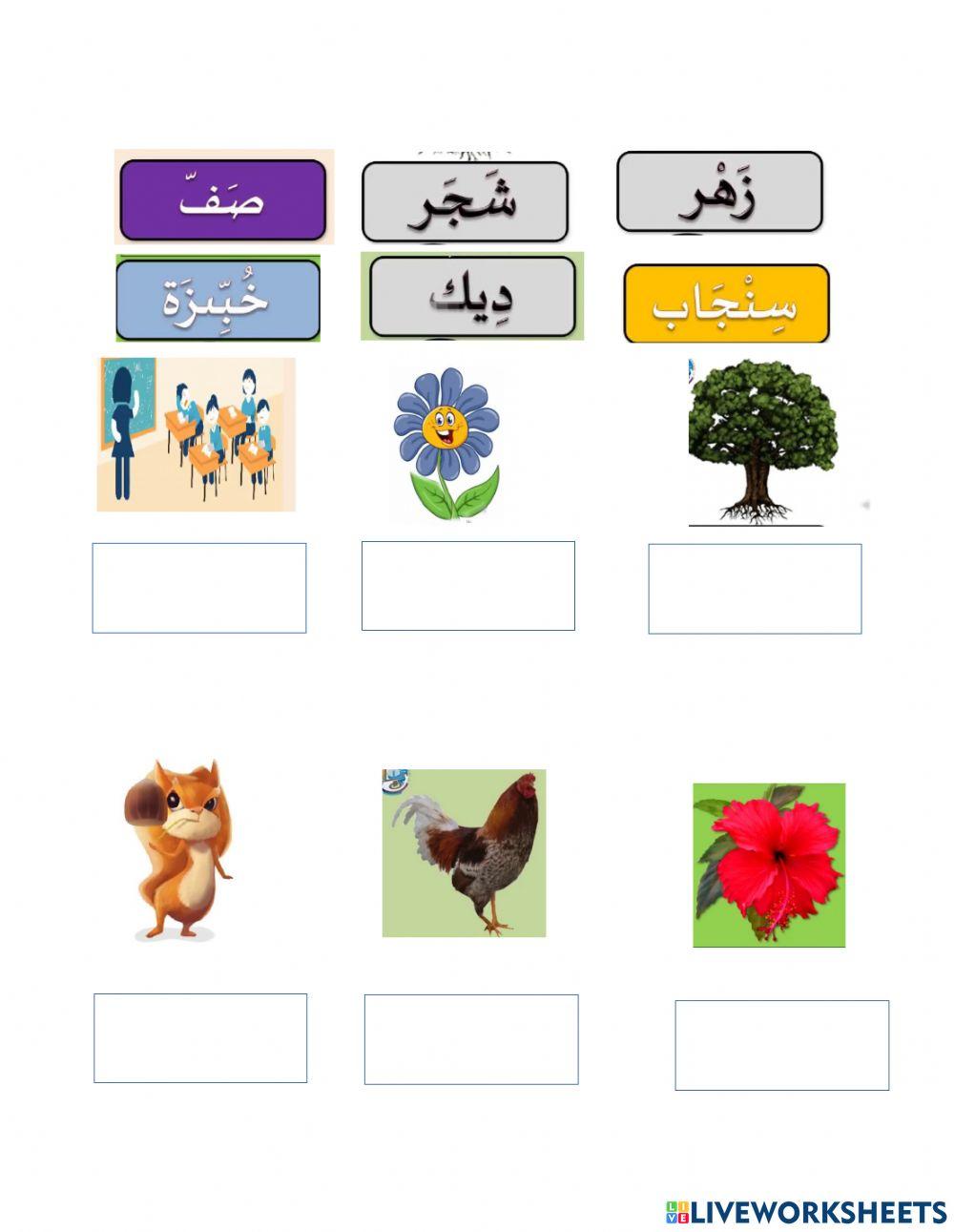 الحروف العربية