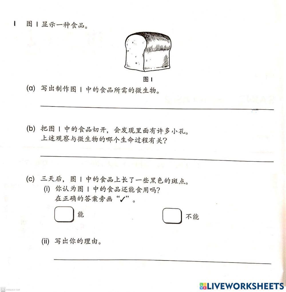 科学 6年级 微生物