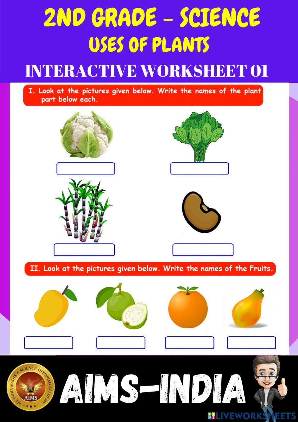 2nd-science-ps01-uses of plants