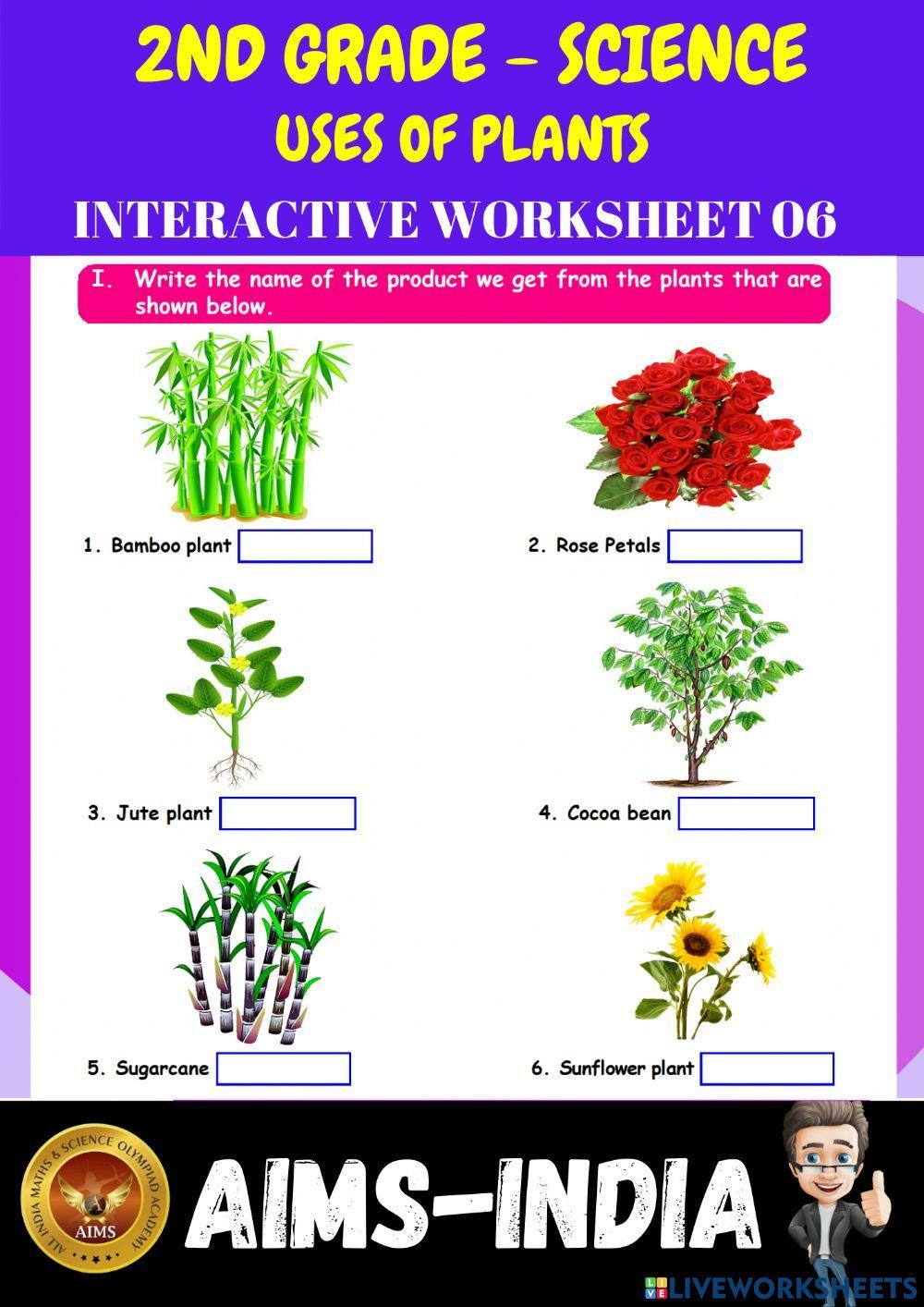 2nd-science-ps06-uses of plants
