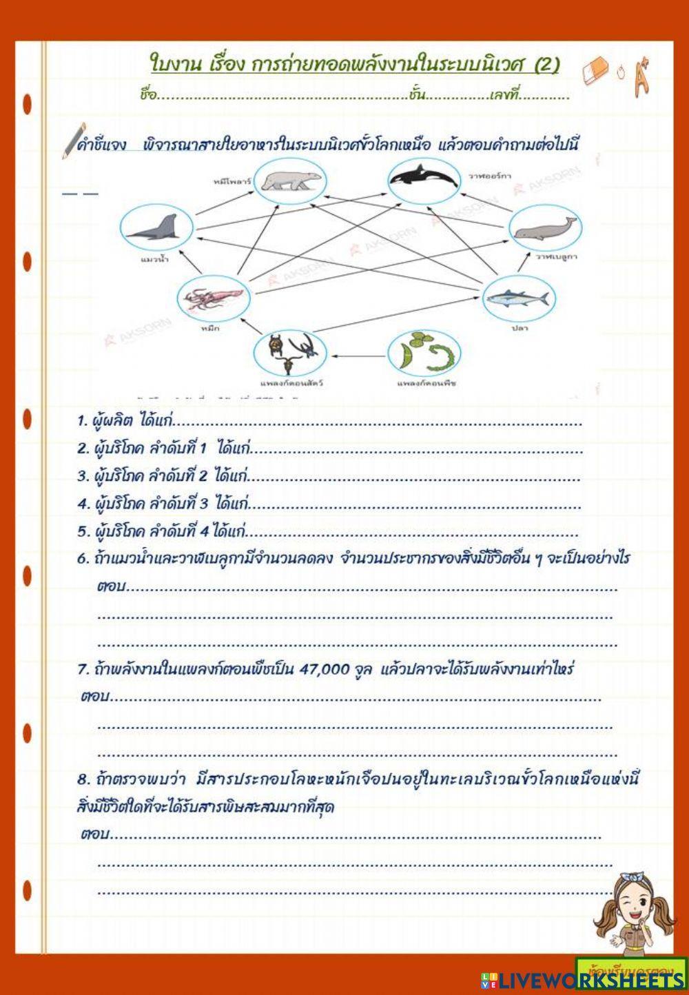 ใบงาน  เรื่อง การถ่ายทอดพลังงานในระบบนิเวศ 2