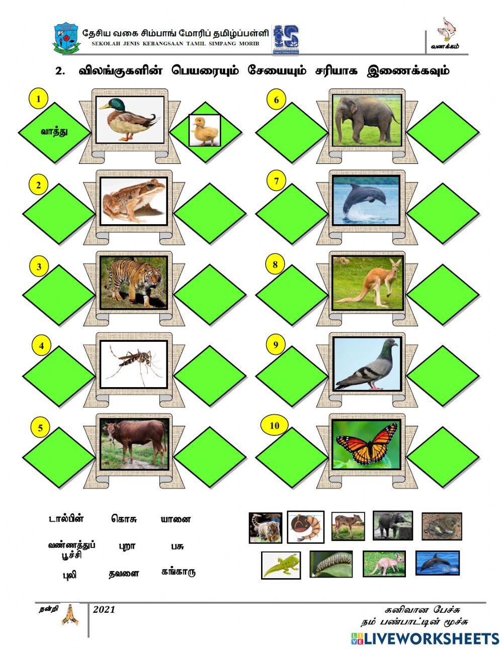 இயங்கலை  மதிப்பீடு