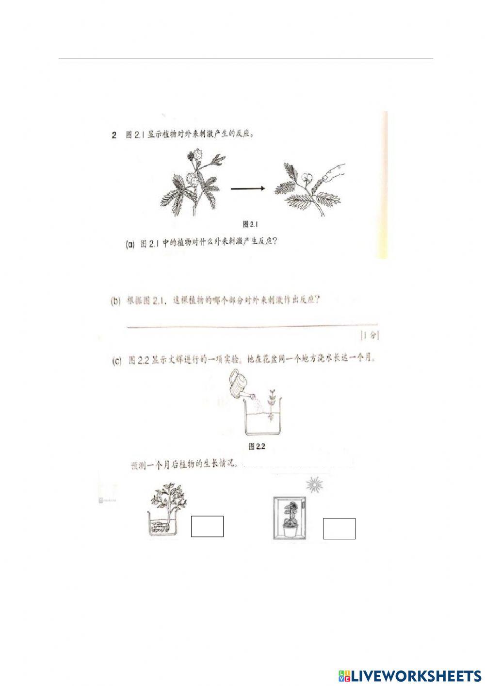 植物对外来刺激的反应