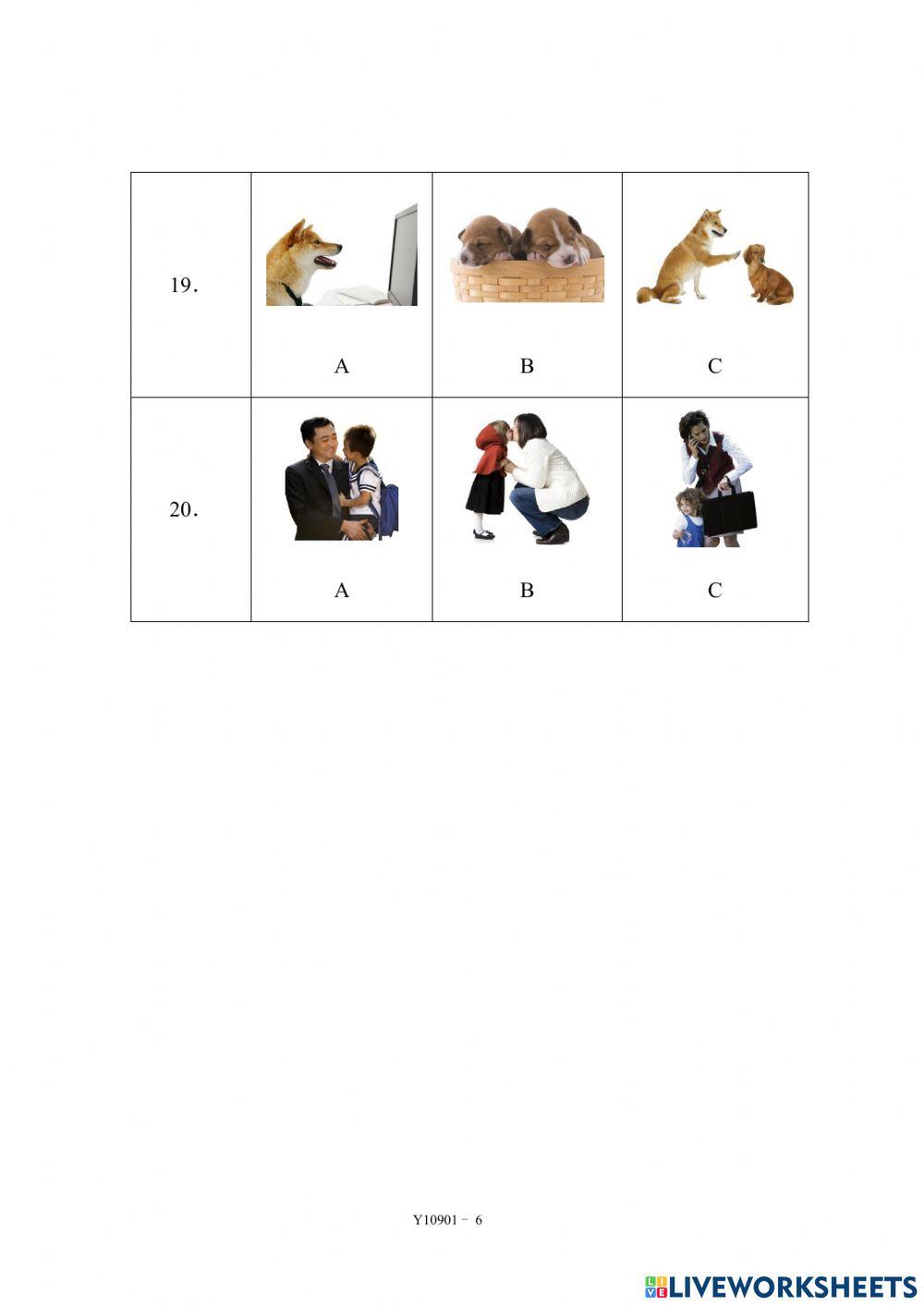 YCT1-Mock-Y11002-01-Share